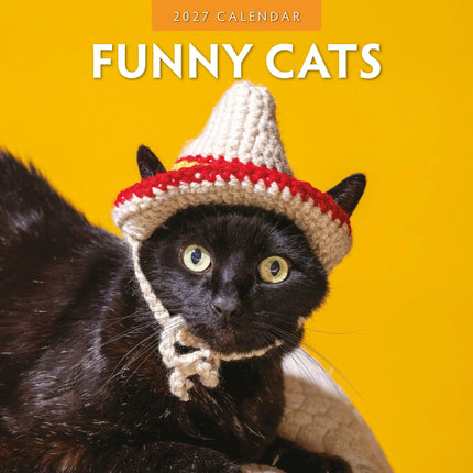 Red Robin Funny Cats Kalender 2027