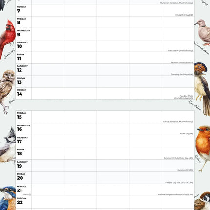 Red Robin Garden Birds Family Organiser 2027