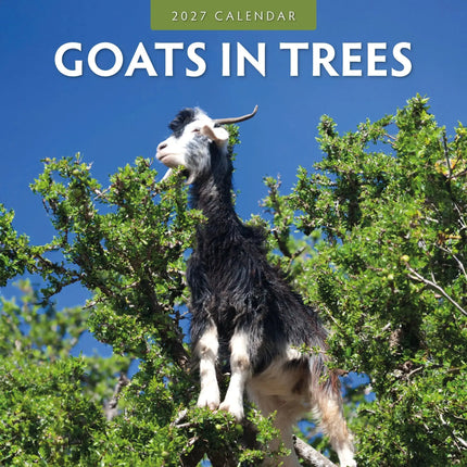 Red Robin Goats in Trees Kalender 2027
