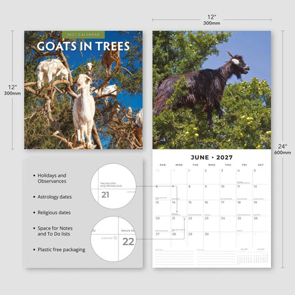Red Robin Goats in Trees Kalender 2027
