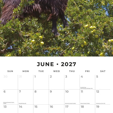Red Robin Goats in Trees Kalender 2027