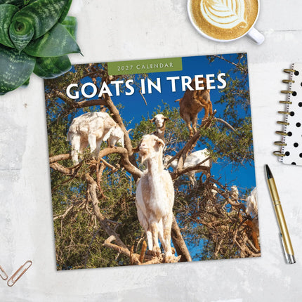 Red Robin Goats in Trees Kalender 2027