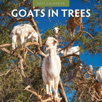 Red Robin Goats in Trees Kalender 2027