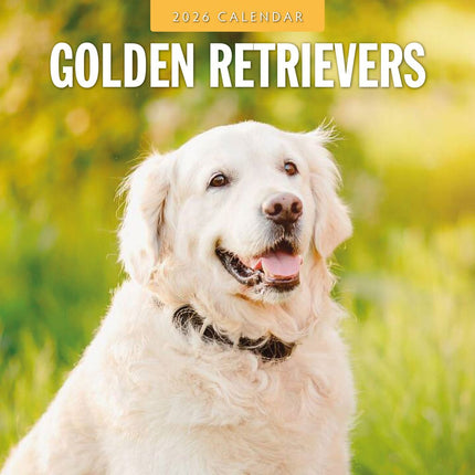 Red Robin Golden Retriever Kalender 2026