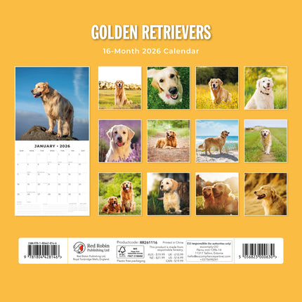 Red Robin Golden Retriever Kalender 2026