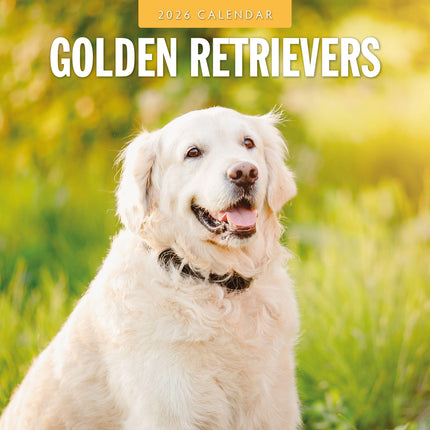 Red Robin Golden Retriever Kalender 2027
