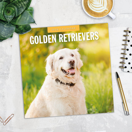Red Robin Golden Retriever Kalender 2027