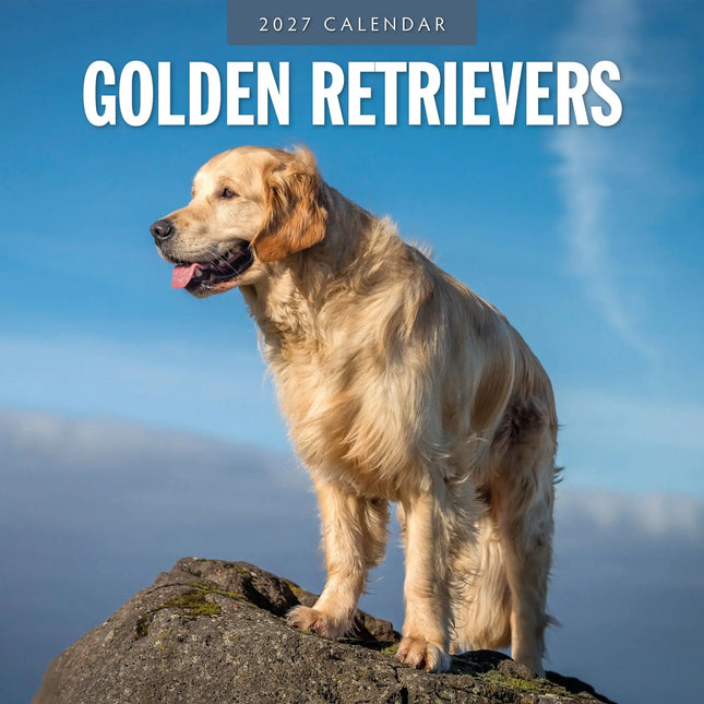 Red Robin Golden Retriever Kalender 2027