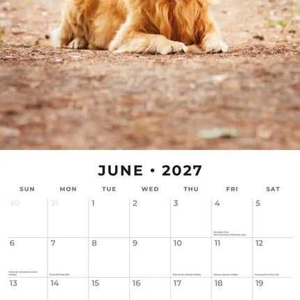 Red Robin Golden Retriever Kalender 2027