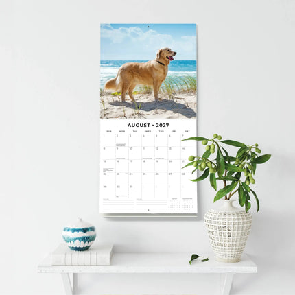 Red Robin Golden Retriever Kalender 2027