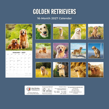 Red Robin Golden Retriever Kalender 2027