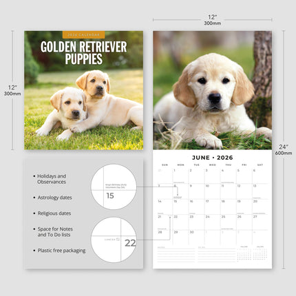 Red Robin Golden Retriever Puppies Kalender 2026