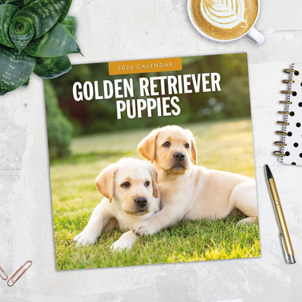 Red Robin Golden Retriever Puppies Kalender 2026