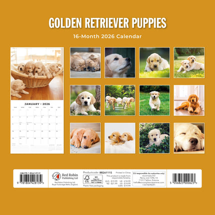 Red Robin Golden Retriever Puppies Kalender 2026