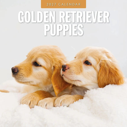 Red Robin Golden Retriever Puppies Kalender 2027