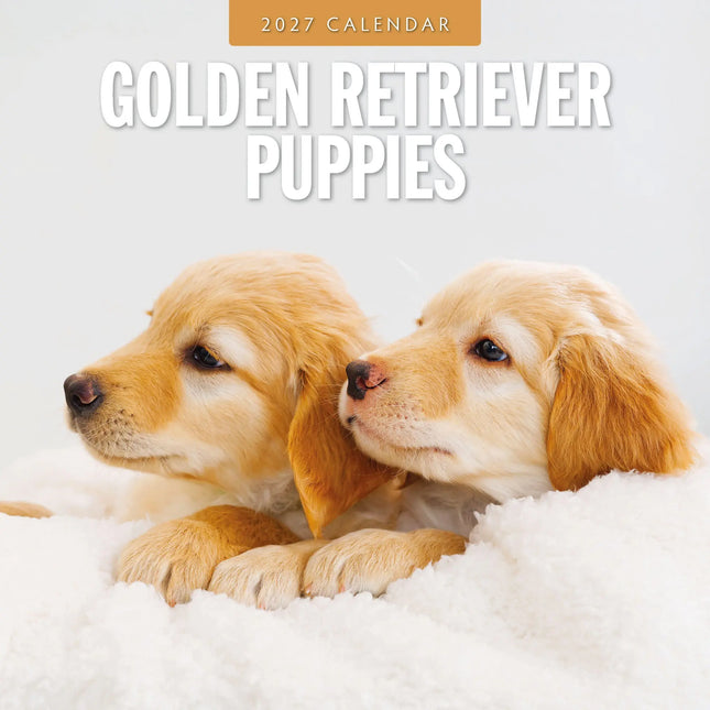 Red Robin Golden Retriever Puppies Kalender 2027