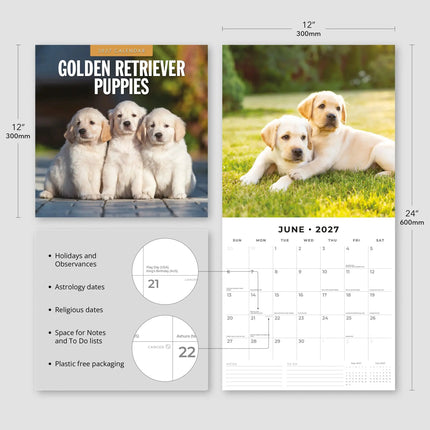 Red Robin Golden Retriever Puppies Kalender 2027