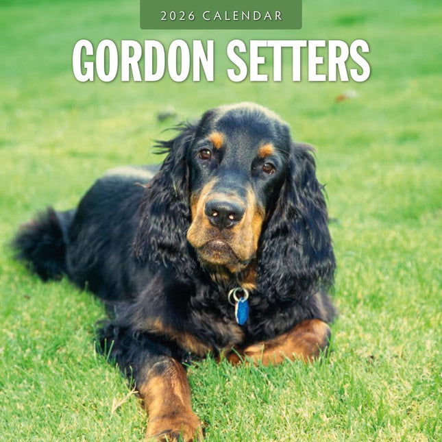 Red Robin Gordon Setter Kalender 2026