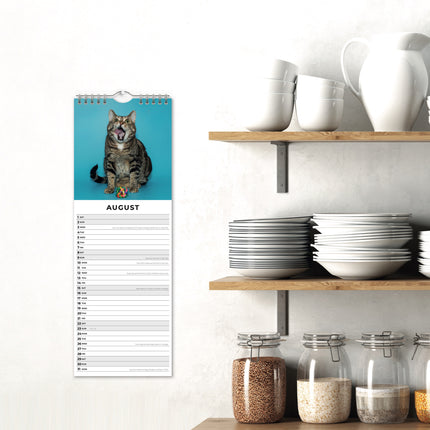 Red Robin Grappige Katten Slimline Kalender 2026