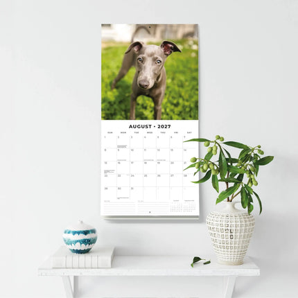Red Robin Greyhound Kalender 2027