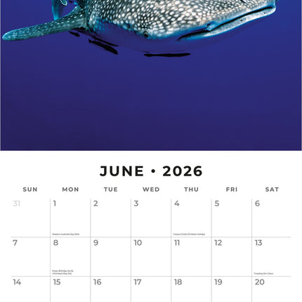 Red Robin Haaien Kalender 2026