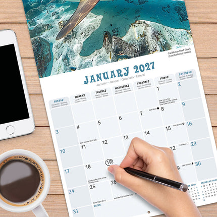 Red Robin Haaien Kalender 2027