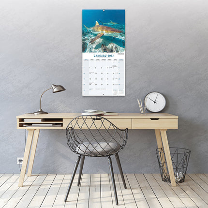 Red Robin Haaien Kalender 2027