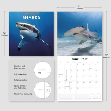 Red Robin Haaien Kalender 2027