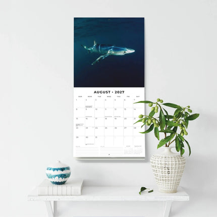 Red Robin Haaien Kalender 2027