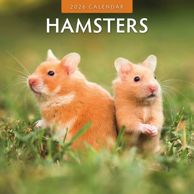 Red Robin Hamster Kalender 2026