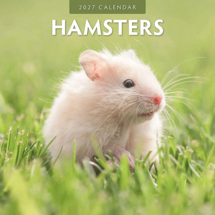 Red Robin Hamster Kalender 2027