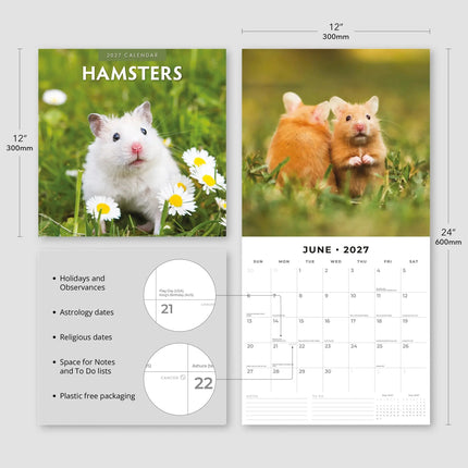 Red Robin Hamster Kalender 2027