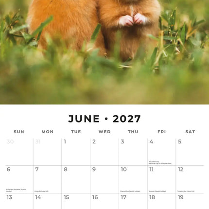 Red Robin Hamster Kalender 2027