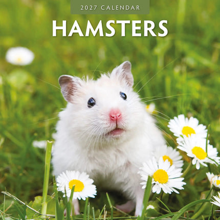 Red Robin Hamster Kalender 2027