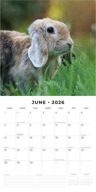 Red Robin Hangoor Konijnen Kalender 2026