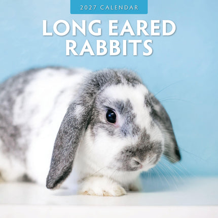 Red Robin Hangoor Konijnen Kalender 2027