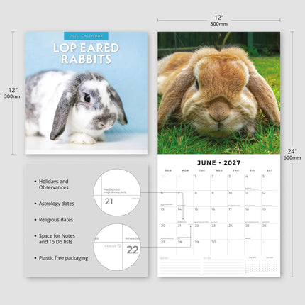 Red Robin Hangoor Konijnen Kalender 2027
