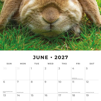 Red Robin Hangoor Konijnen Kalender 2027