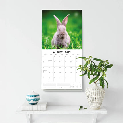 Red Robin Hangoor Konijnen Kalender 2027