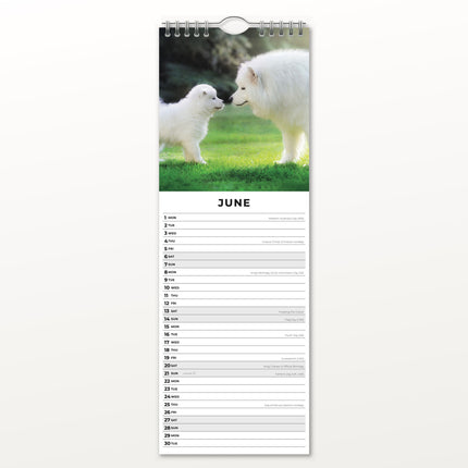 Red Robin Honden en Puppies Slimline Kalender 2026