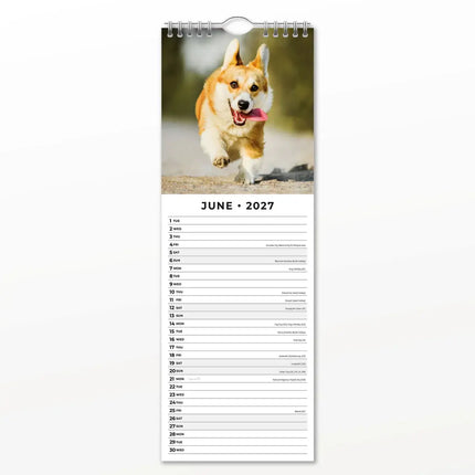 Red Robin Honden en Puppies Slimline Kalender 2027