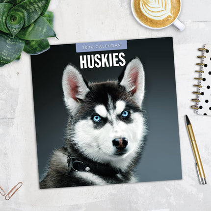 Red Robin Husky Kalender 2026