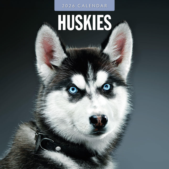 Red Robin Husky Kalender 2026