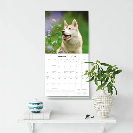 Red Robin Husky Kalender 2027