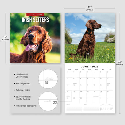 Red Robin Ierse Setter Kalender 2026