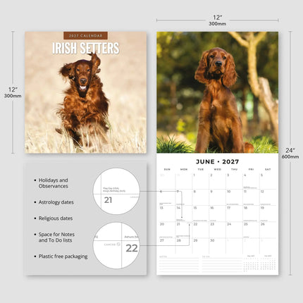 Red Robin Ierse Setter Kalender 2027
