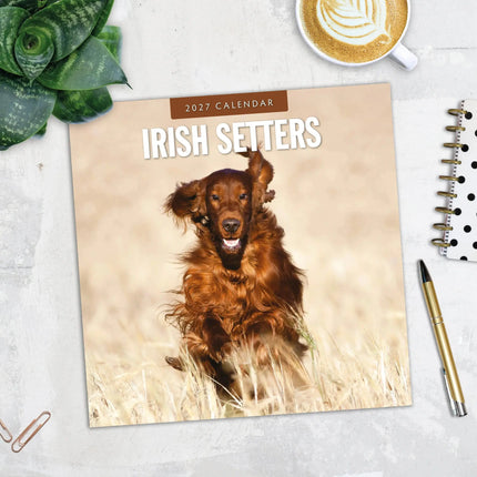 Red Robin Ierse Setter Kalender 2027