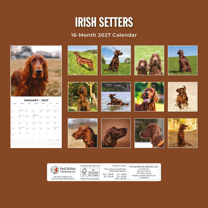 Red Robin Ierse Setter Kalender 2027