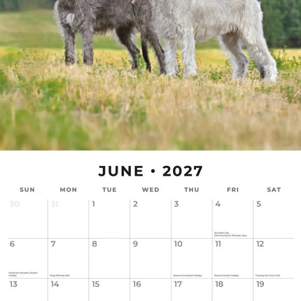 Red Robin Ierse Wolfshond Kalender 2027