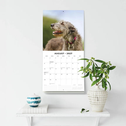 Red Robin Ierse Wolfshond Kalender 2027